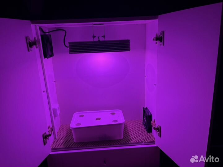 Готовый гроубокс