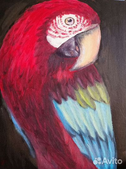 Картина маслом Попугай
