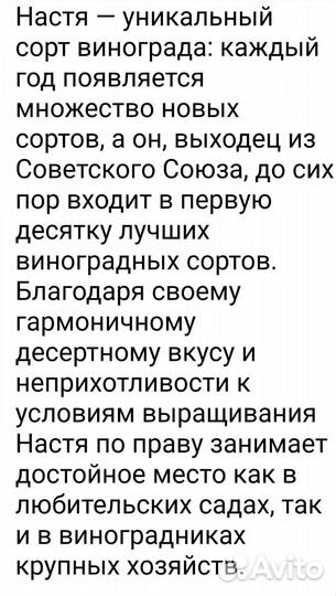 Саженцы винограда