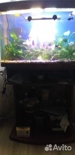 Аквариум