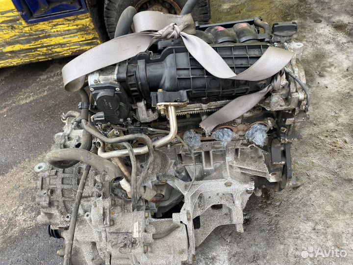 Двигатель MR20DE Nissan Serena C25 MR20-219950A