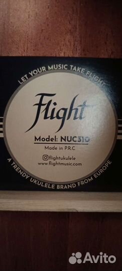 Укулеле flight концерт