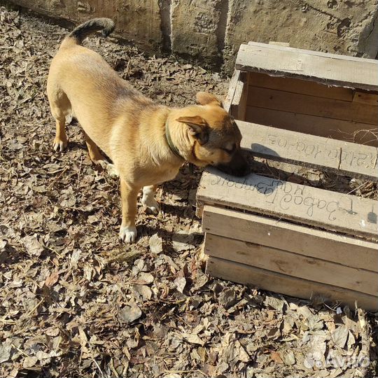 Гроза района