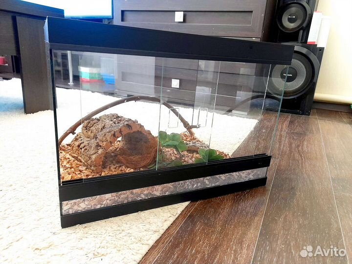 Террариум для рептилий