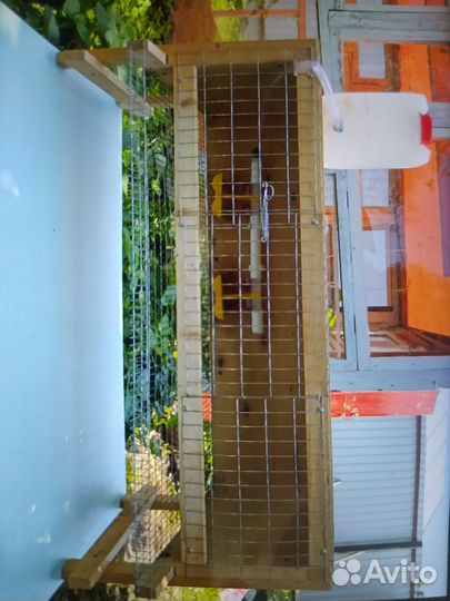 Клетки для перепелов