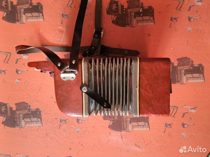 Баян Малыш редкий, юбилейный /Скупка