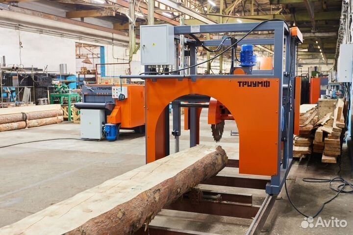 Пилорама дисковая Триумф 1П-550