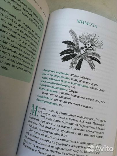 Дикие растения - руководство для ведьмы