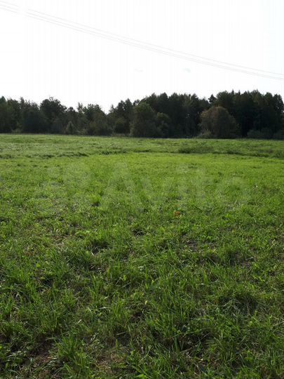 Участок 53 сот. (ИЖС)