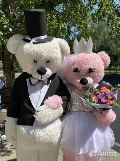 Белый медведь ростовая кукла поздравление выписка