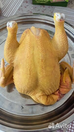 Куры бройлеры