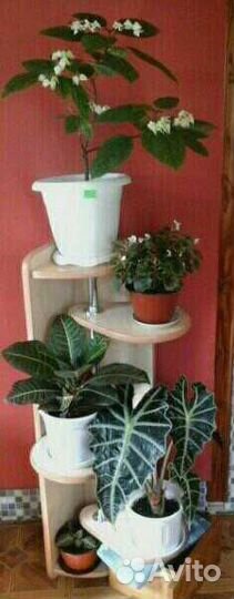 Полка для цветов подвесная