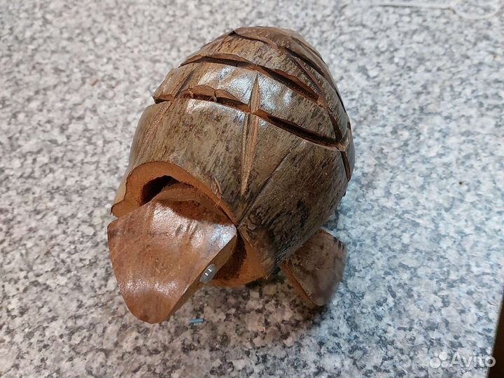 Черепаха декоративная