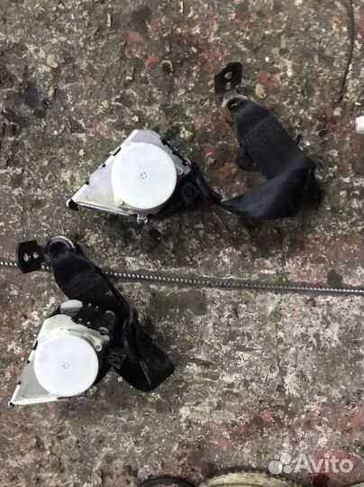 Задний ремень безопасности Ford Focus 3