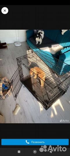 Демон в клетке