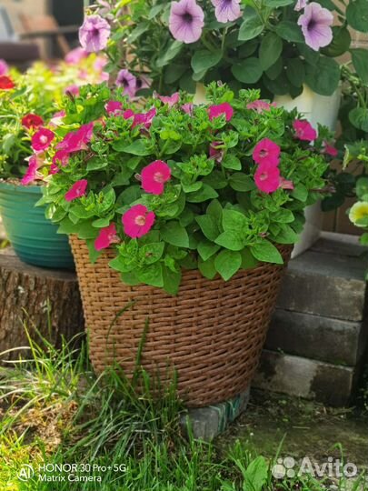 Кашпо для цветов из искусственного ротанга