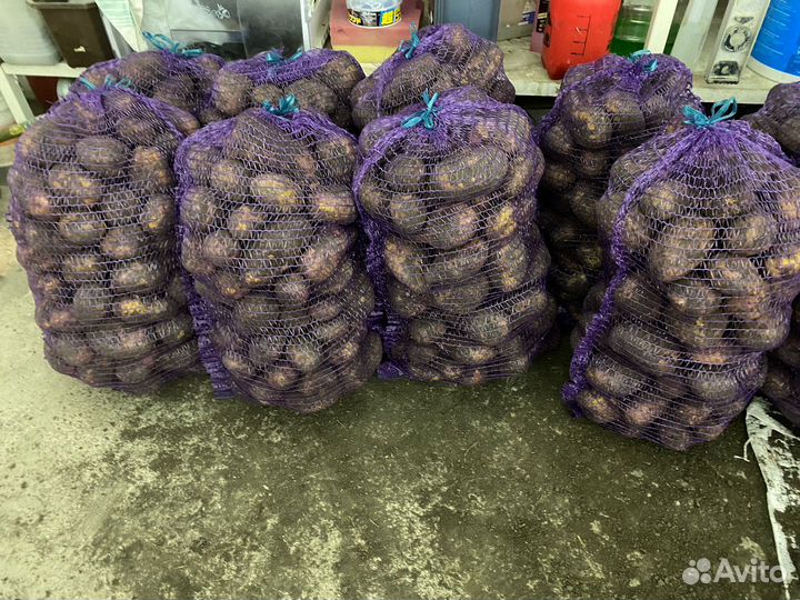 Продам картофель