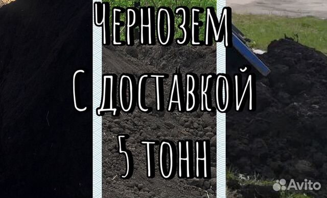 Чернозем