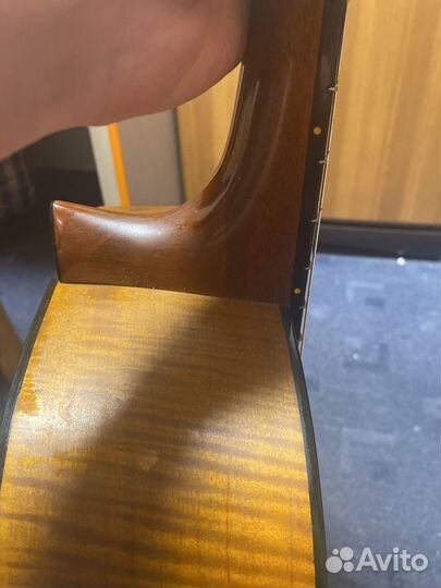 Гитара resonata musima