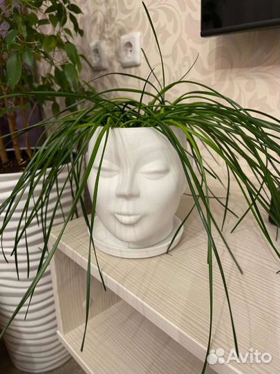 Фигурное кашпо Голова, 15 см