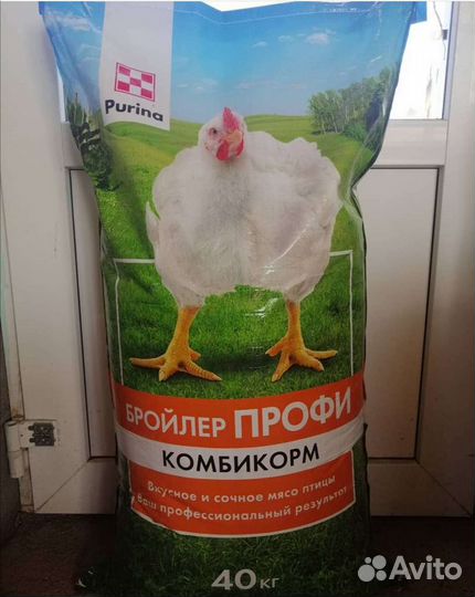 Корма для животных