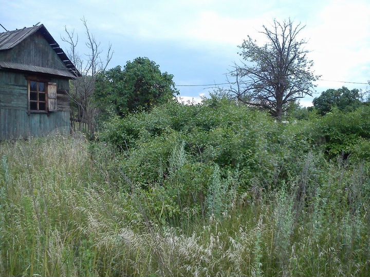 Участок 10 сот. (СНТ, ДНП)