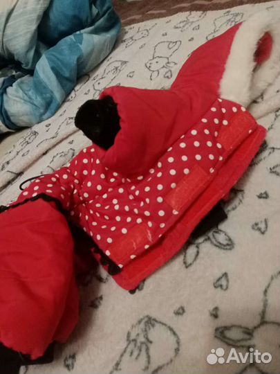 Одежда для маленьких собак