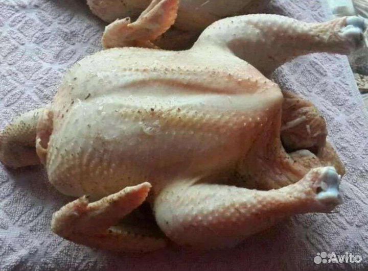 Мясо домашнего бройлера