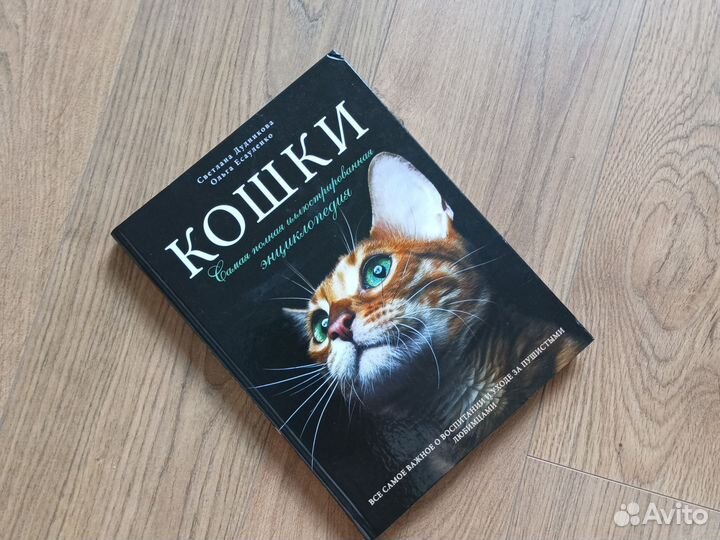 Книга про кошек