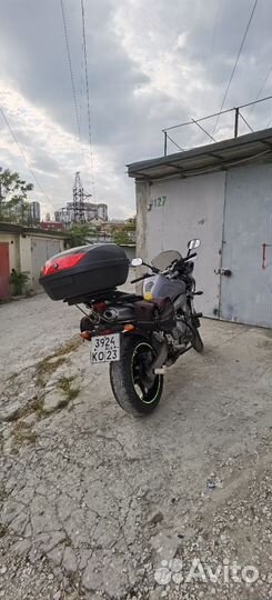 Fz6s, Фазер