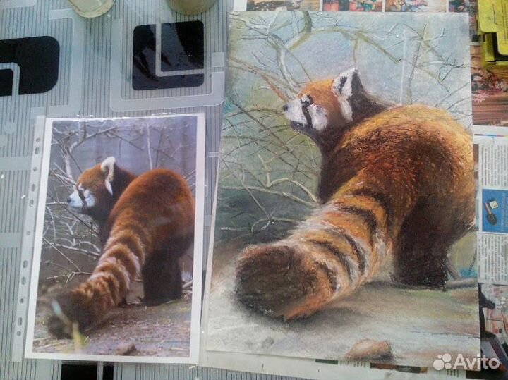 Педагог живописи,акад. рисунка,основ дизайна,творч