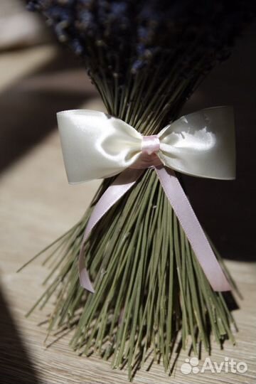 Лаванда с гелихризумом