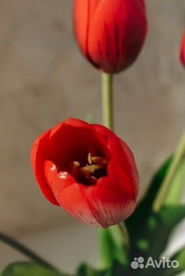 Тюльпаны искусственные