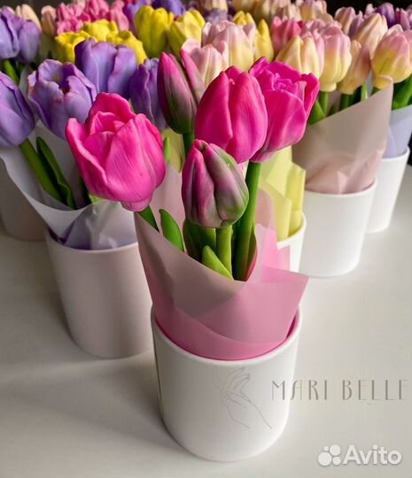 Тюльпаны к 8 марта