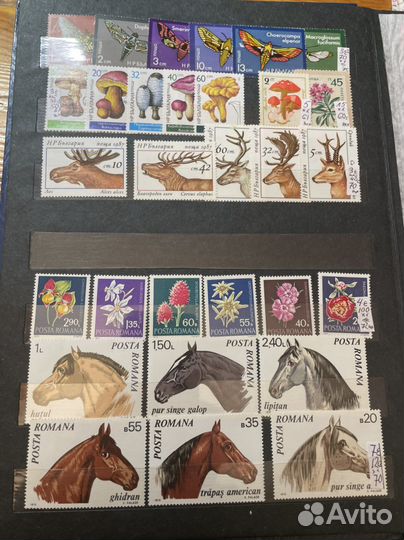 Каталог марок Флора и Фауна. Чистые, хх