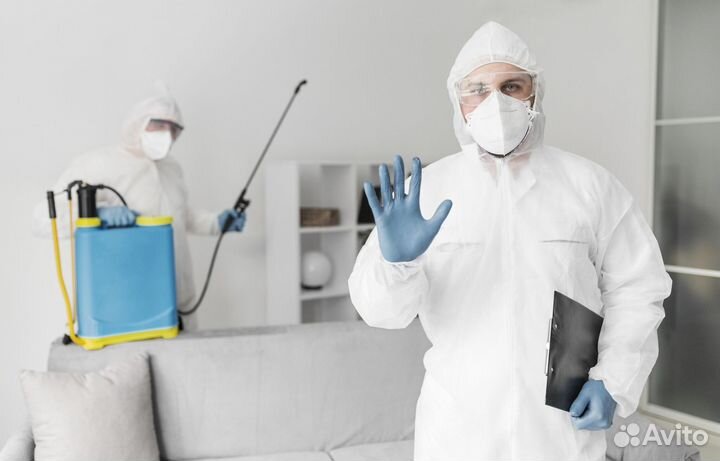 Дезинсектор с ежедневной оплатой