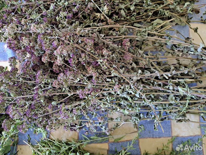 Травы пряные, лекарственные, сушенные