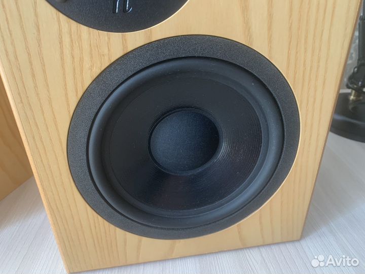 Акустика Neat Critique 2