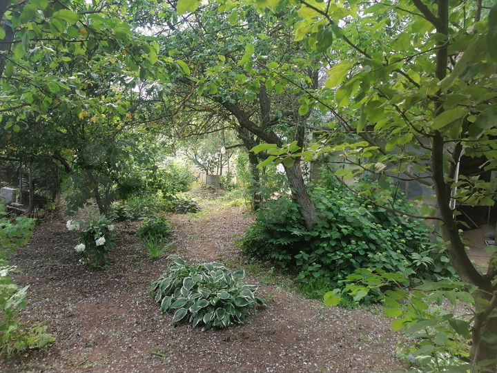 Дом 248 м² на участке 10 сот.