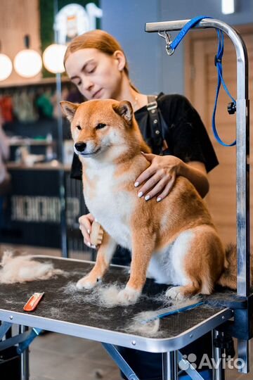 Груминг домашних питомцев