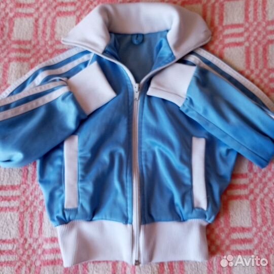 Отдам бесплатно