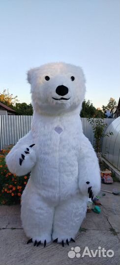 Белый мишка поздравление аниматор