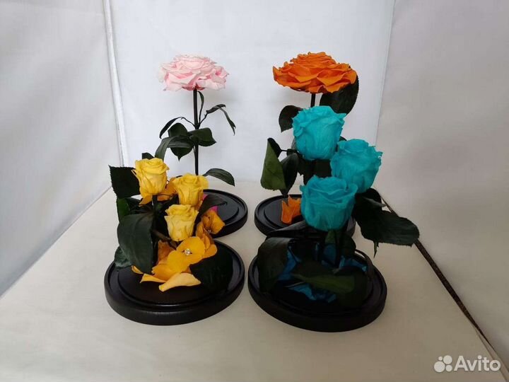 Роза в колбе