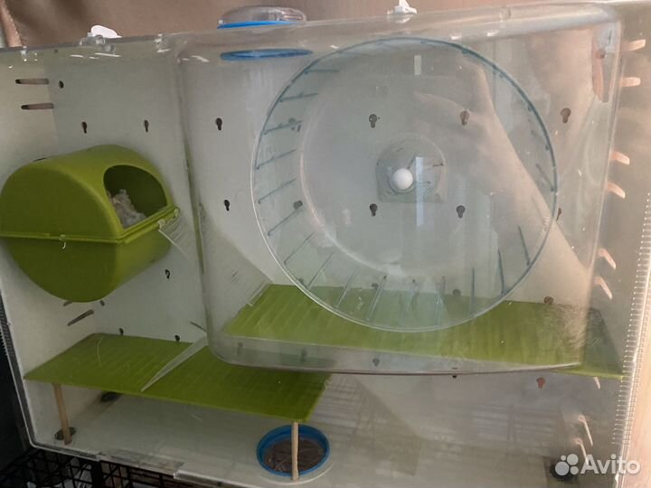 Клетка с хомяками