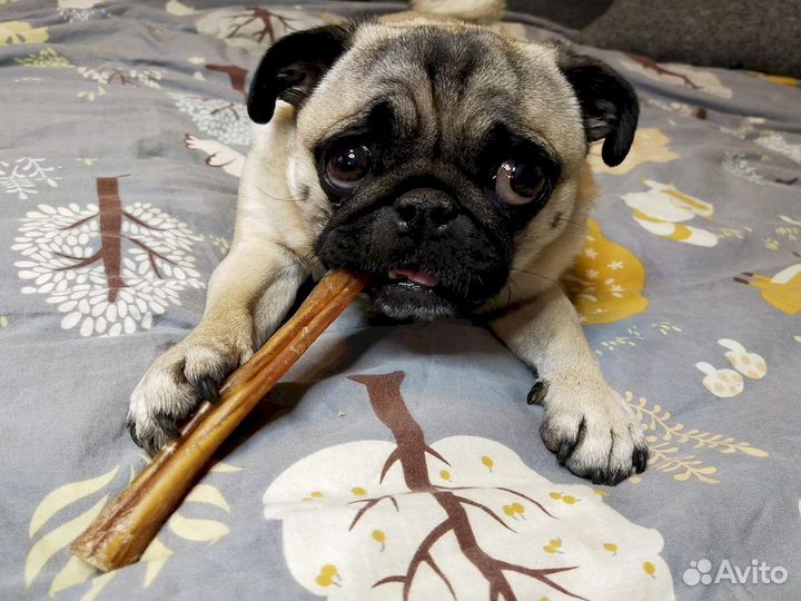 Корм для собаки. ту и гост качество