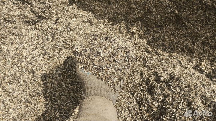 Лузга подсолнечника