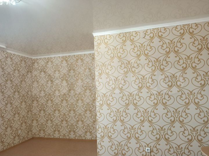 1-к. квартира, 58 м², 1/2 эт.