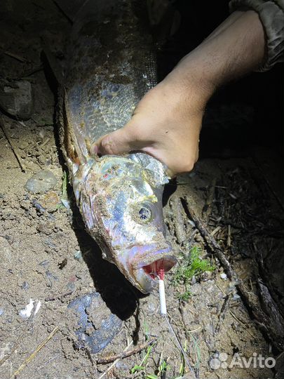 Снасть резинка