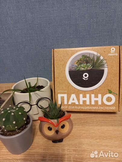 Панно для растений