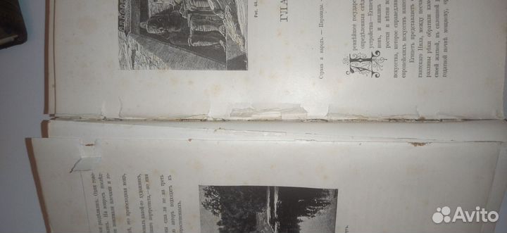 История исскуств Гнедич